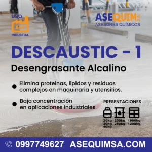 DESCAUSTIC - 1